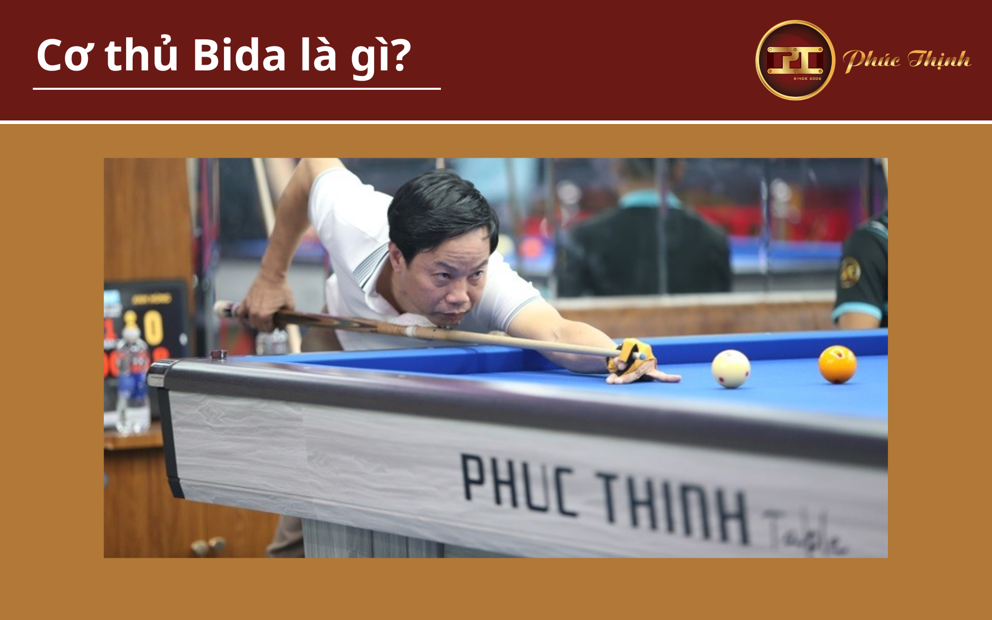 Cơ thủ bida là gì?