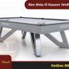 Bàn Bida Rasson Wolf nhập Trung - Bida Phúc Thịnh