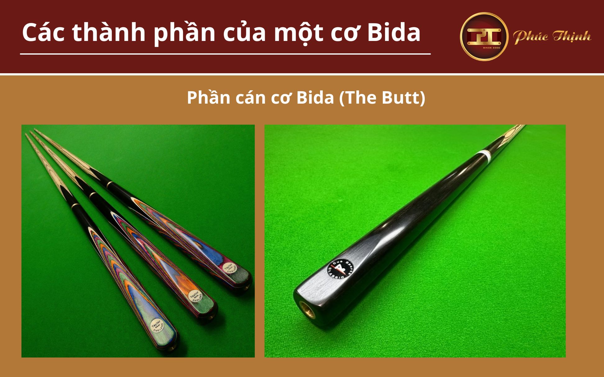 Phần cán cơ Bida (The Butt)